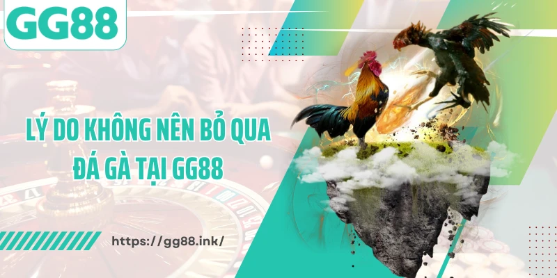 Lý do không nên bỏ qua đá gà tại GG88
